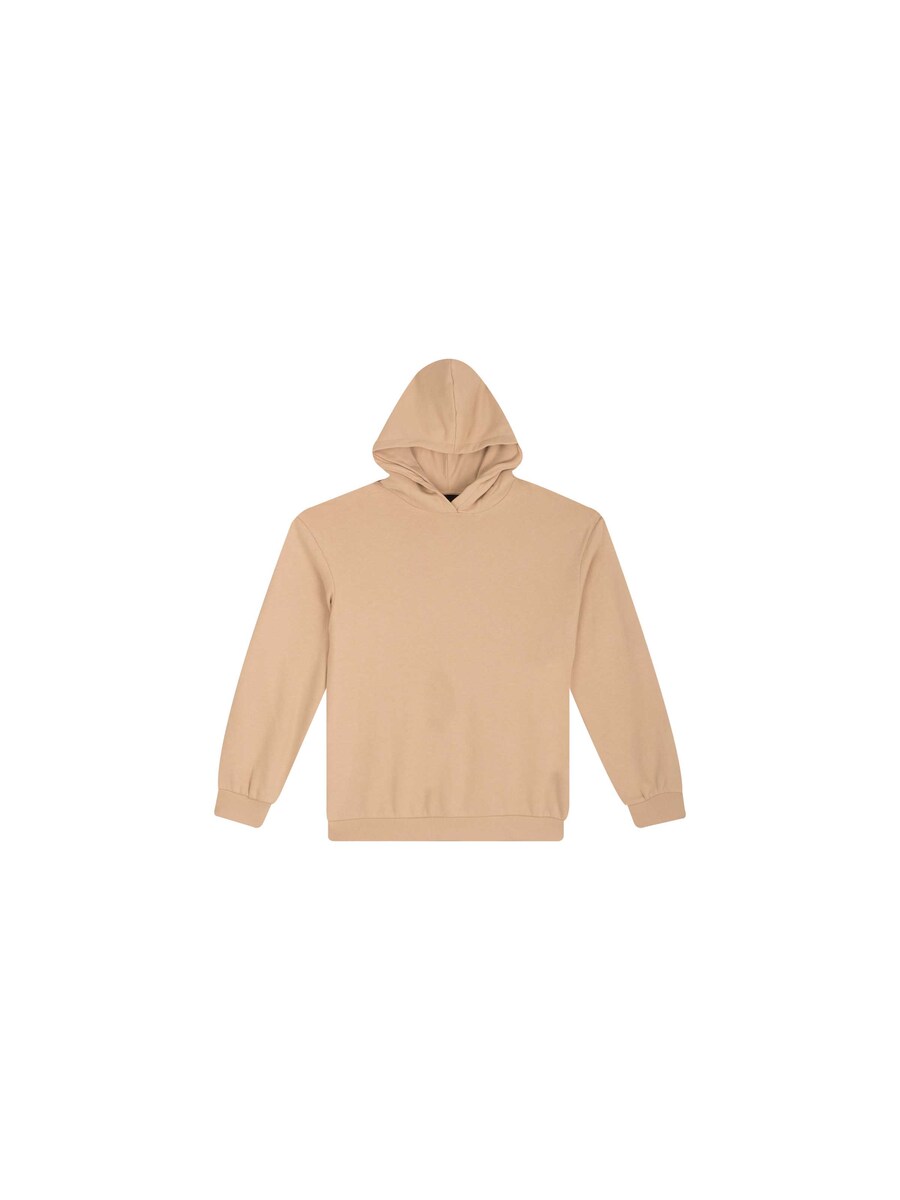 Sweater van het merk Awesome in het Beige