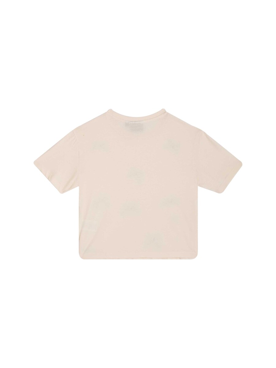 T-shirt van het merk Awesome in het Ecru
