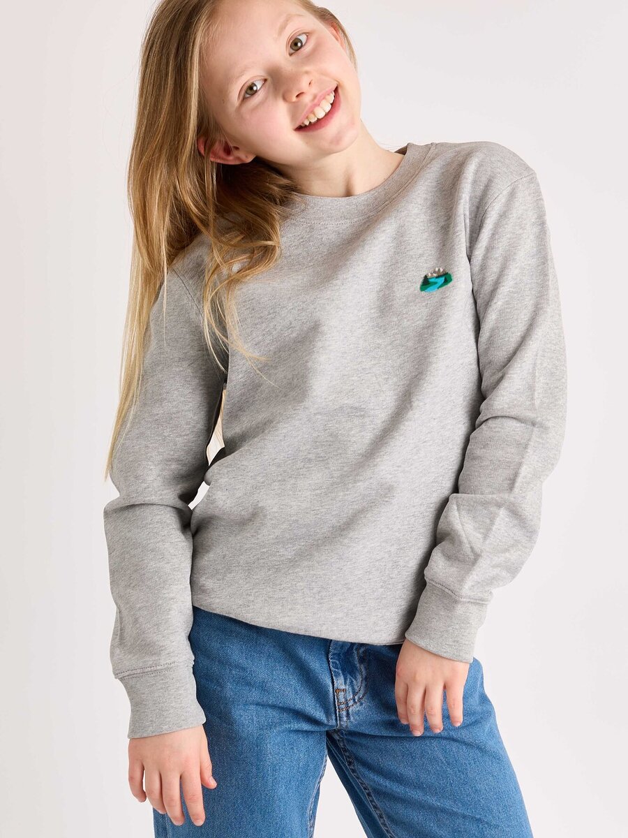 Sweater van het merk Strom in het Grijs