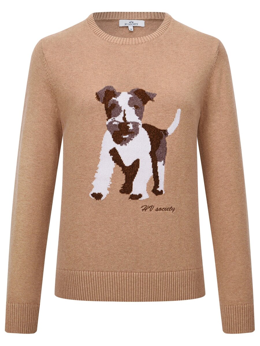 Pull van het merk Hv Polo in het Beige