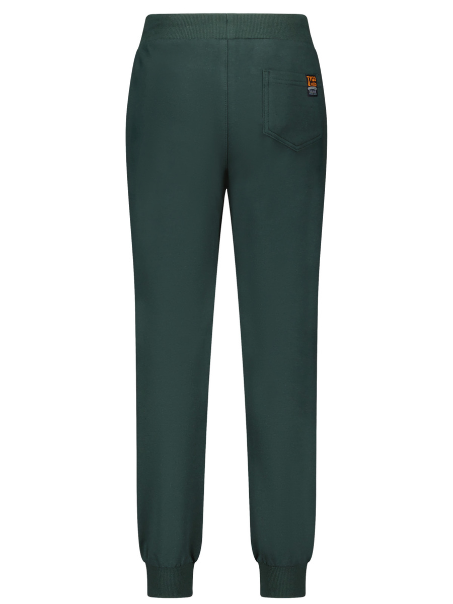 Broek van het merk Tygo & Vito in het Groen