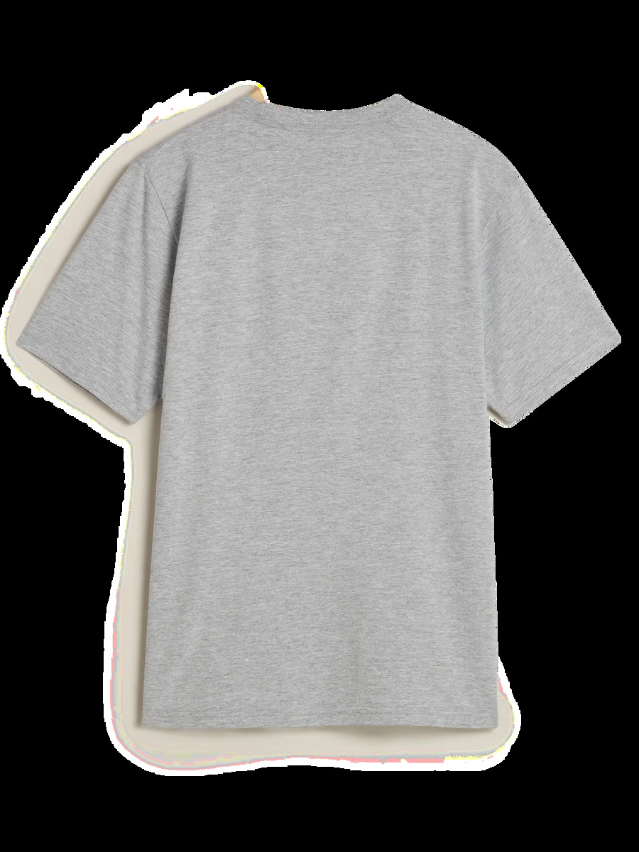 T-shirt van het merk Vans in het Grijs