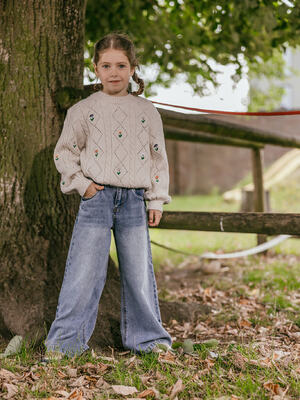 Link naar Gilets & pulls