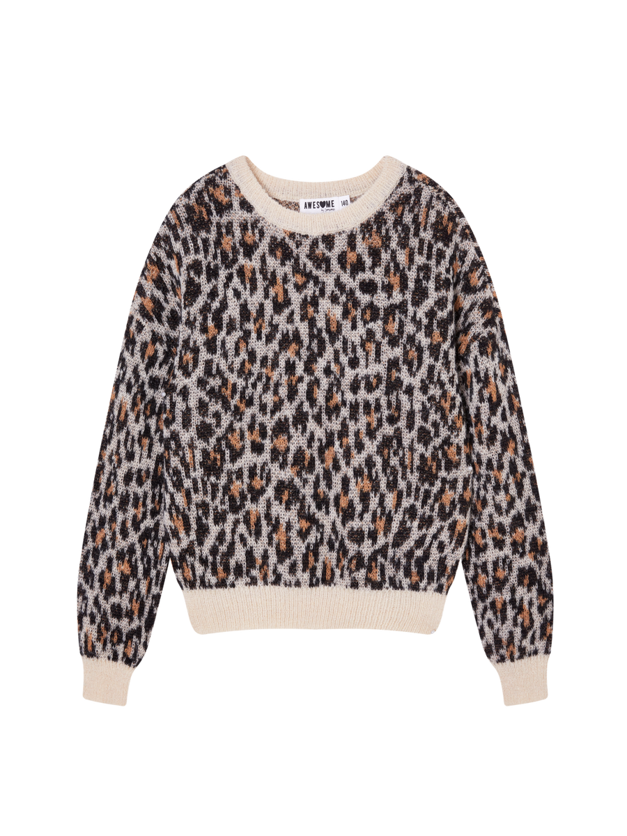 Pull van het merk Awesome in het Beige