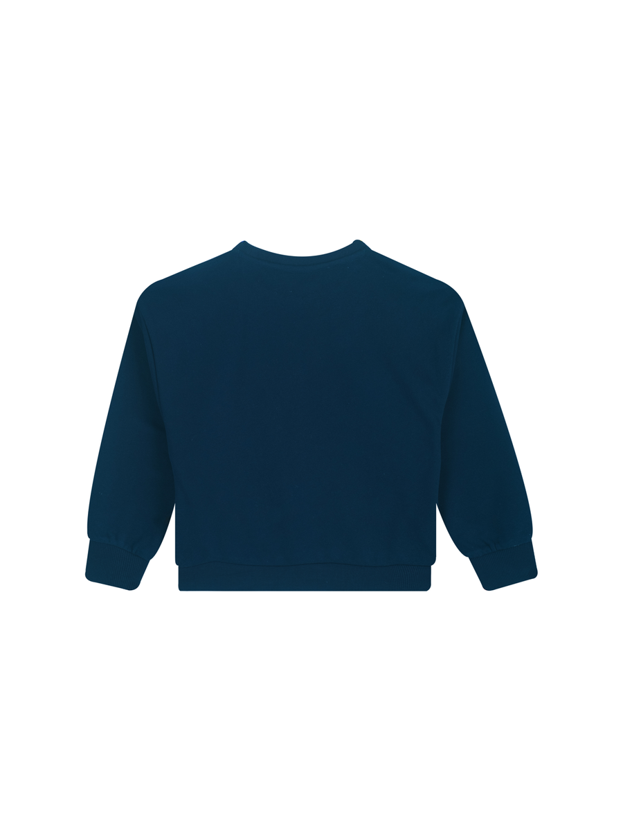 Sweater van het merk Awesome in het Blauw