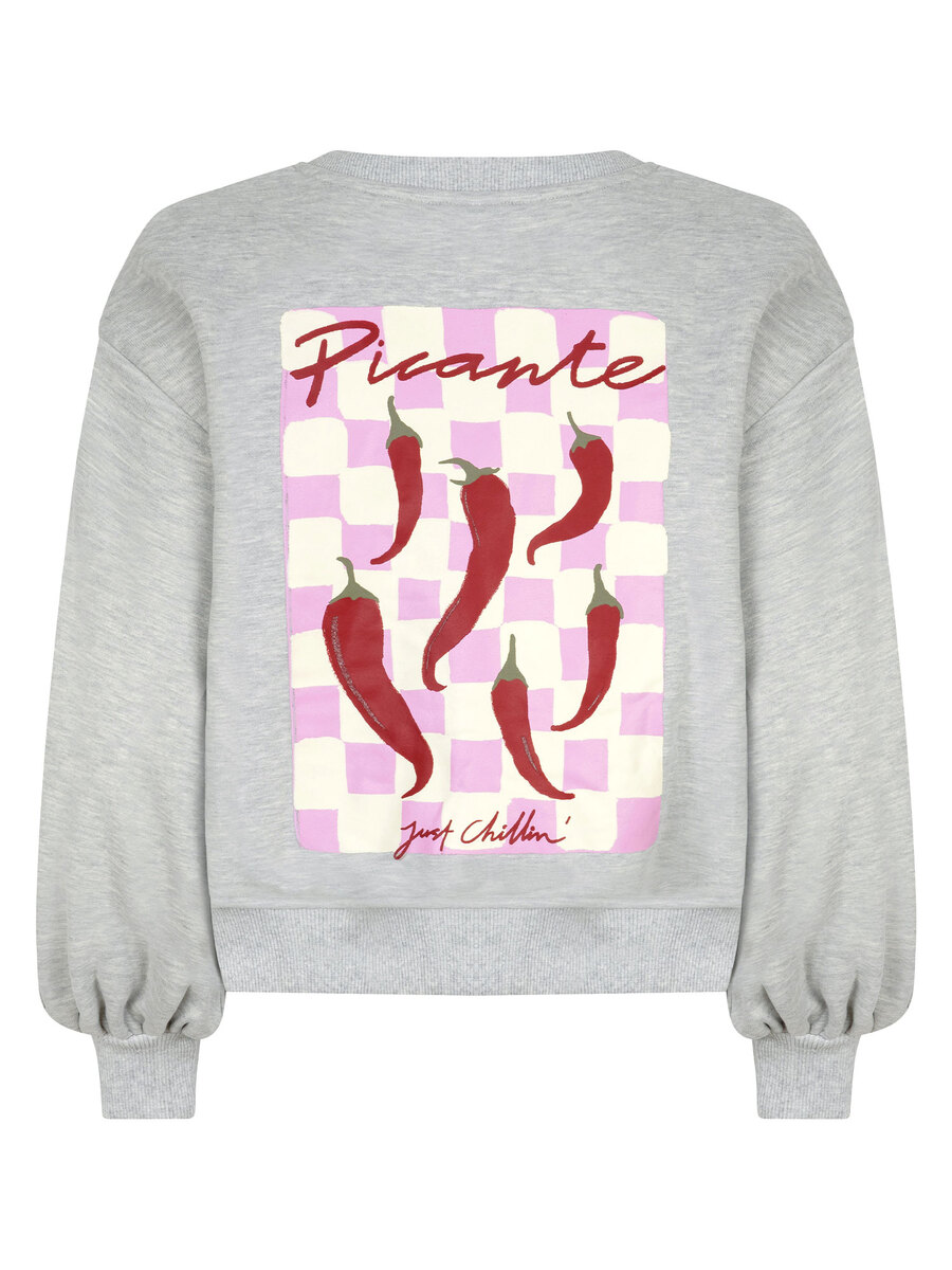 Sweater van het merk Ydence in het Grijs