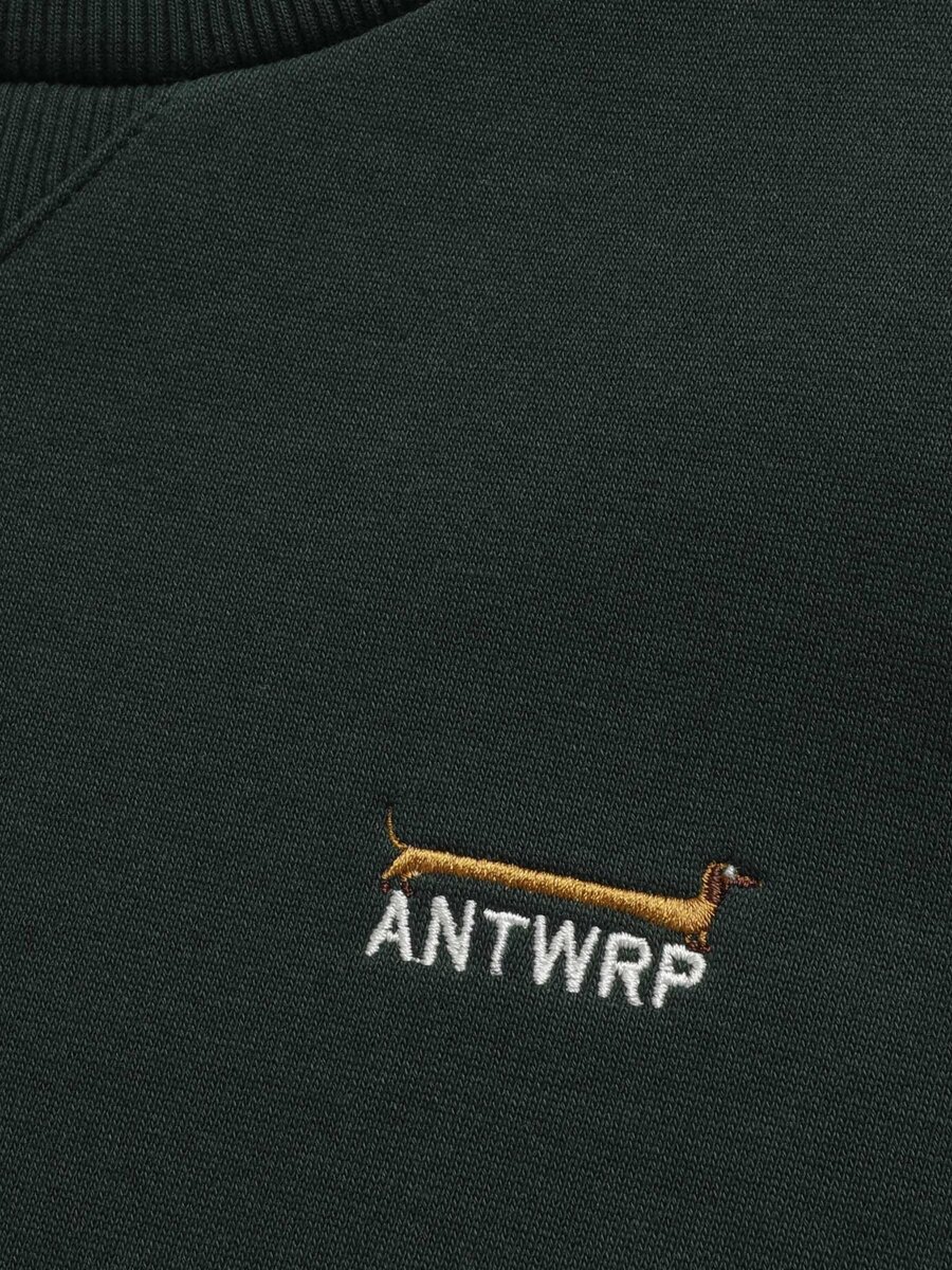 Sweater van het merk Antwrp in het Groen