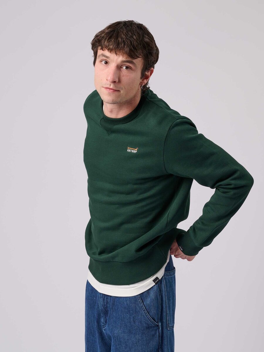 Sweater van het merk Antwrp in het Groen