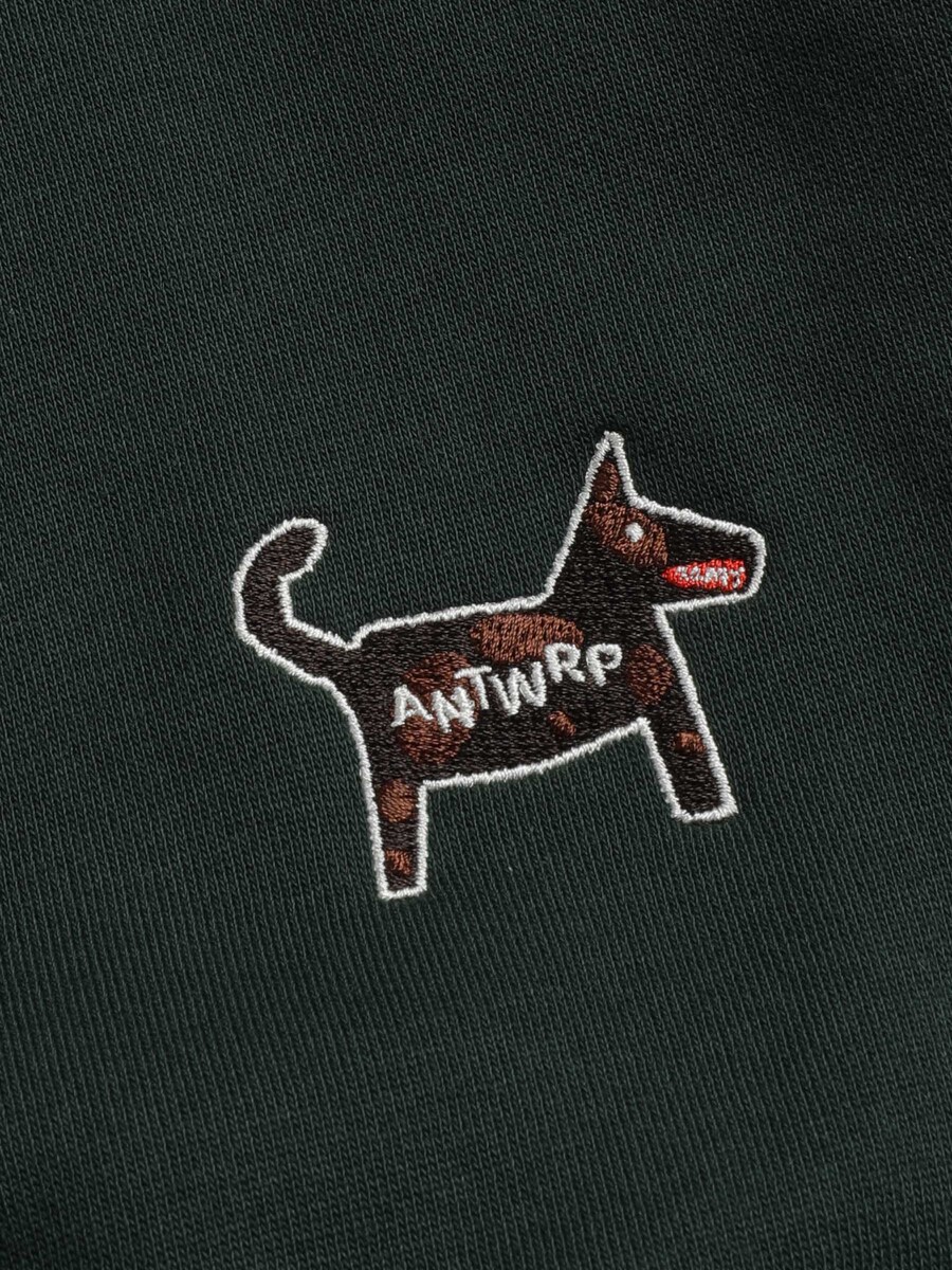 Sweater van het merk Antwrp in het Groen