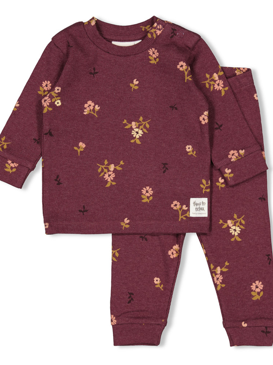 Pyjama van het merk Feetje in het Bordeaux