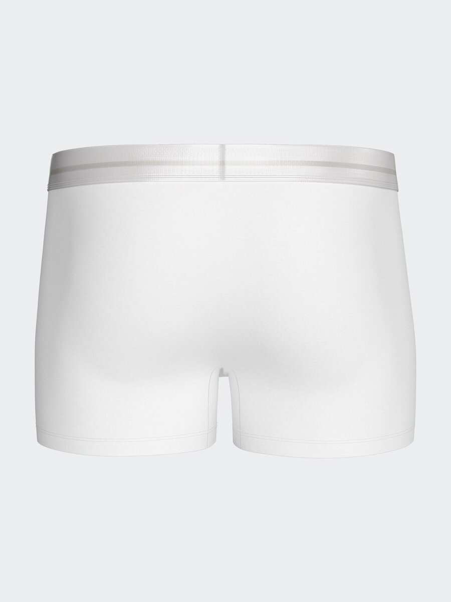 Boxer van het merk Impetus in het Wit