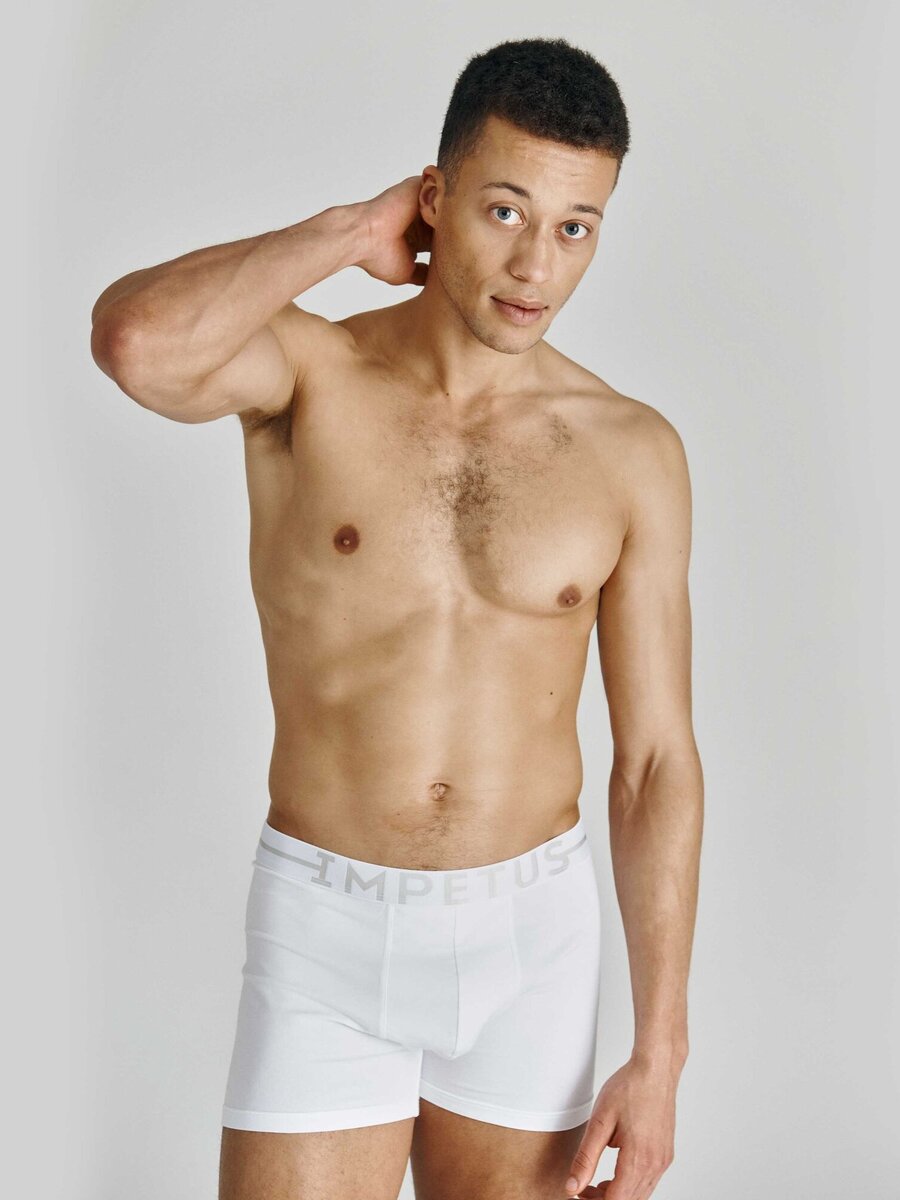 Boxer van het merk Impetus in het Wit