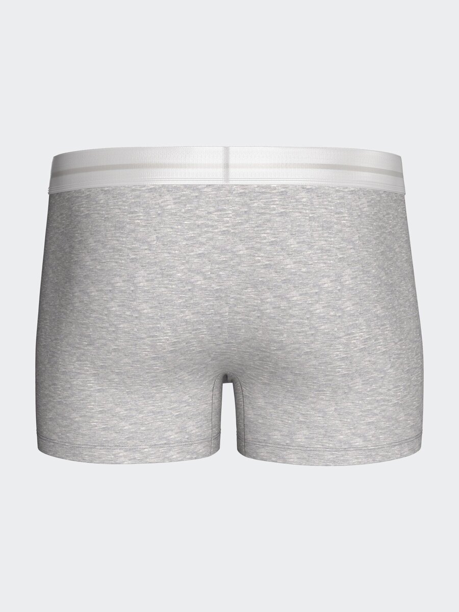 Boxer van het merk Impetus in het Grijs