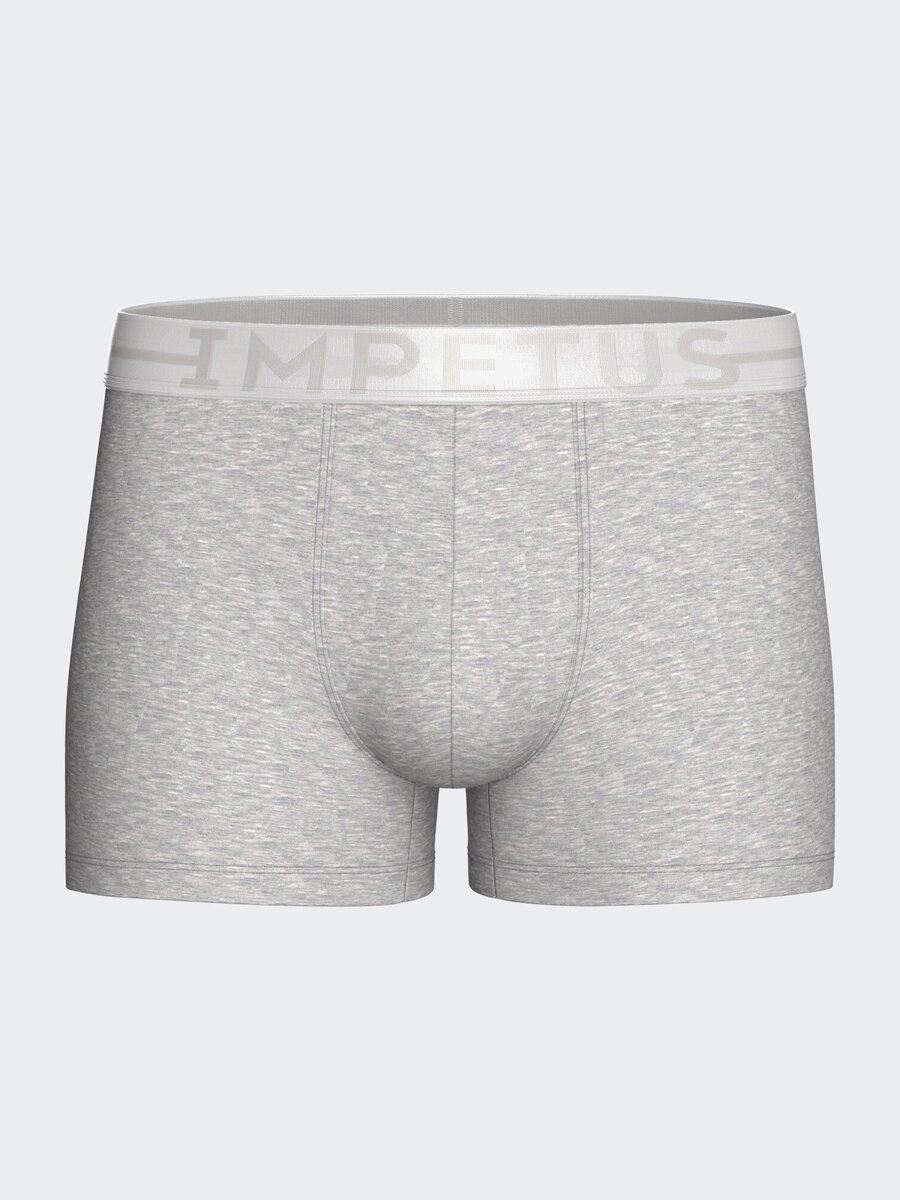 Boxer van het merk Impetus in het Grijs