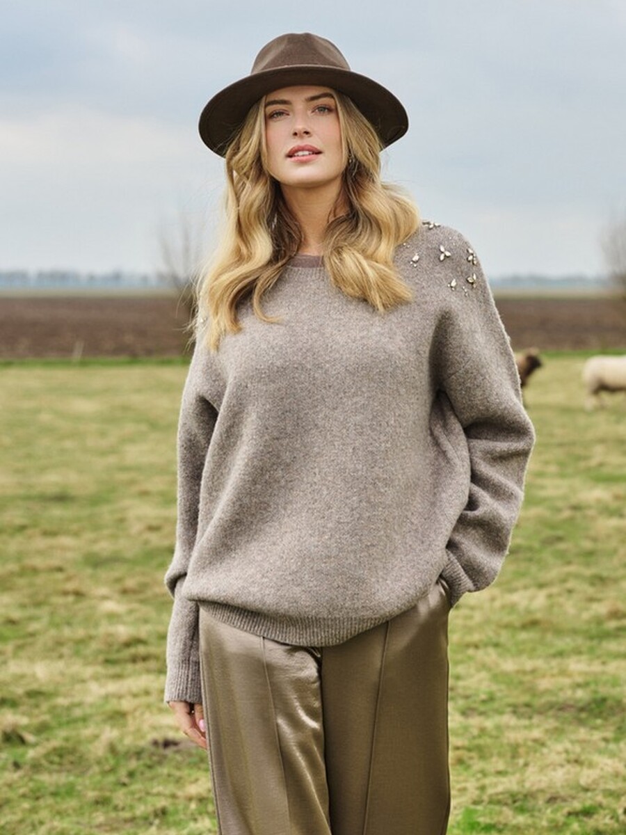 Pull van het merk C&s The Label in het Brons