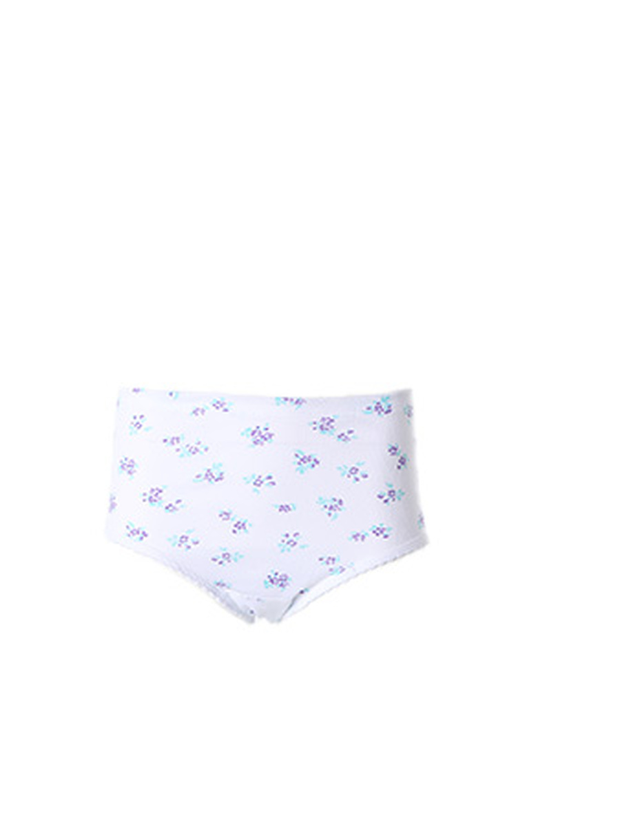 Slip van het merk Hl-tricot in het Paars