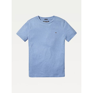 T-shirt van het merk Tommy Hilfiger in het Blauw