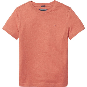 T-shirt van het merk Tommy Hilfiger in het Blauw