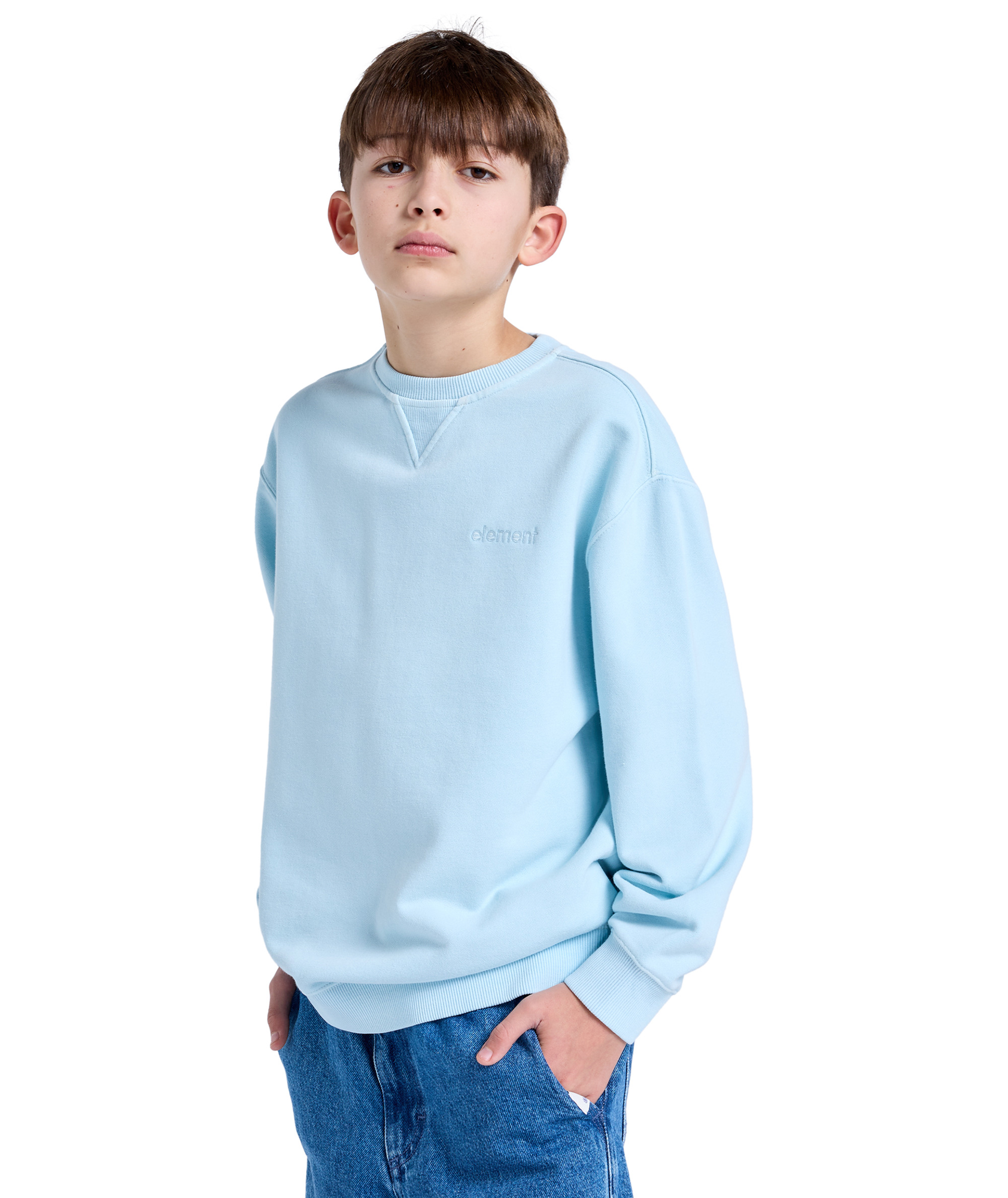 Pull van het merk Element in het Blauw
